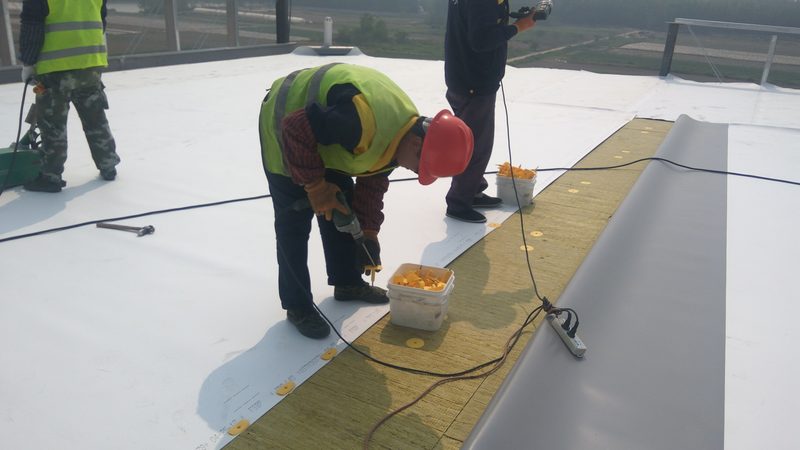 外墙防水开裂修补剂：修补效果与选择要点**